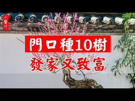 家門口種扁柏|【家門口 種扁柏】家門口種扁柏：化煞避邪、招福旺財